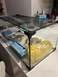 Vasca per tartarughe