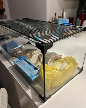 Vasca per tartarughe