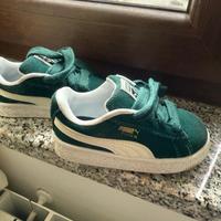 Puma verdi