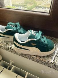 Puma verdi