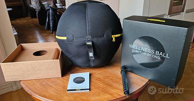 Welness ball attive sitting TechnoGym