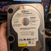 Hard Disk WD 320Gb (3,5)