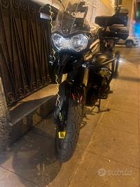 Tiger 800 del 2012