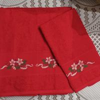 Set asciugamani e ospite 