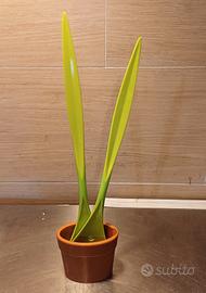 Set Insalata Design "Salad Plant" - Black+Blum