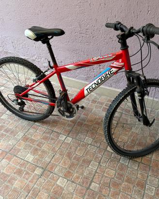 Bicicletta