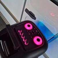 cassa amplificata con batteria