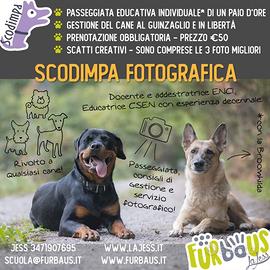 Servizio fotografico animali domestici