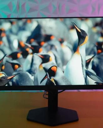 Monitor Gaming AOC 180Hz Full HD - Come Nuovo