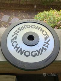 Pesi da palestra Techogym e Gimer foro 25 mm