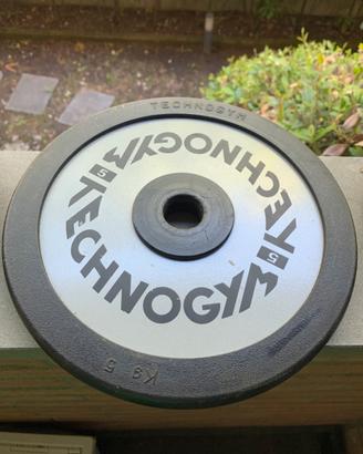 Pesi da palestra Techogym e Gimer foro 25 mm