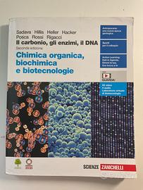 Chimica organica, biochimica e biotecnologie (II)