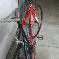 bici pinarello treviso