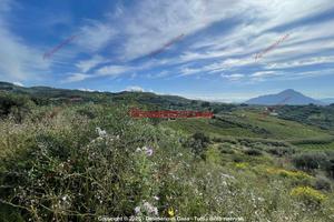 Terreno, Campofelice di Roccella.