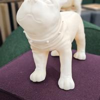 Manichino Bulldog Francese: Testa Girevole!