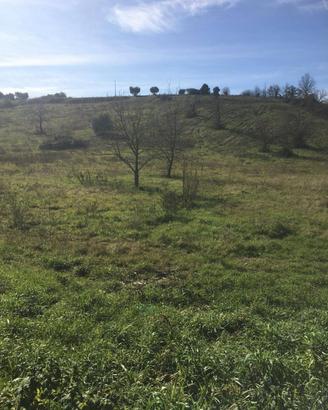 TERRENO DI 23,970 Mq. CON 20 ALBERI DA FRUTTO