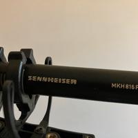 Microfono Sennheiser mkh816 ph48