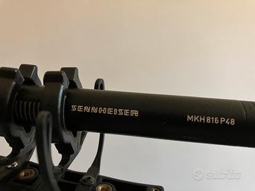 Microfono Sennheiser mkh816 ph48