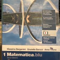 Libro matematica.blu
