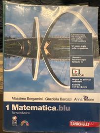 Libro matematica.blu