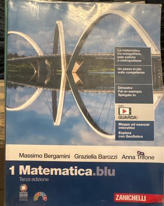 Libro matematica.blu