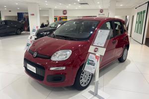 FIAT Panda My25 1.0 70cv Hybrid Panda N72581
