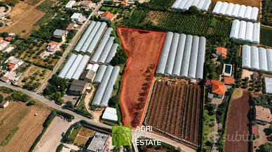 Terreno agricolo di 5.000 mq ideale per serre