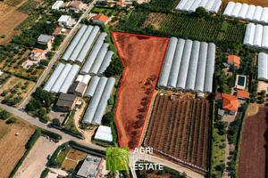 Terreno agricolo di 5.000 mq ideale per serre