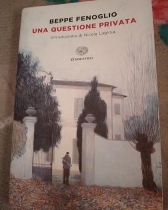 libro questione privata