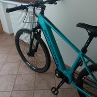 e-bike mtb 29 Bottecchia 