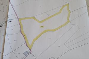 Bosco soleggiato con vista panoramica sulla valle