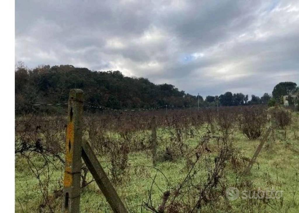 Immobile in asta di 22900 m² a Tempio Pausania - Vista 4