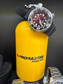 Citizen promaster E 365 eco drive