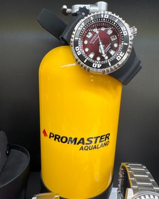 Citizen promaster E 365 eco drive