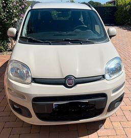 Panda in perfette condizioni