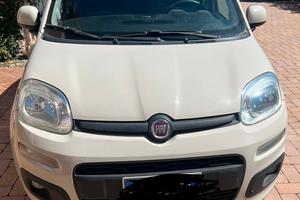 Panda in perfette condizioni