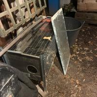 Gabbe conigli ingrasso