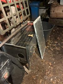 Gabbe conigli ingrasso