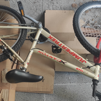 Mountain bike da bambino