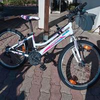 mountain bike ragazza da 24