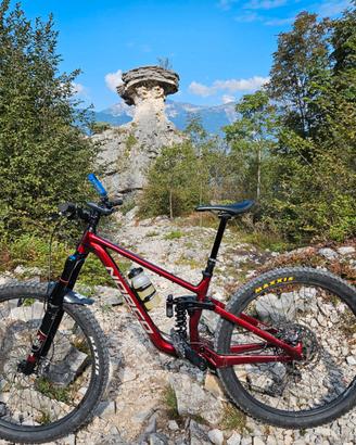 NORCO Sight