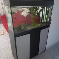 acquario 