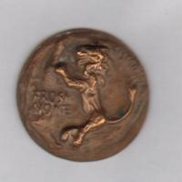 medaglia in bronzo per la Citta' di Frosinone