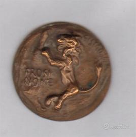 medaglia in bronzo per la Citta' di Frosinone