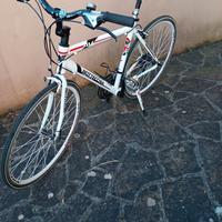 bottecchia av803