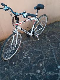 bottecchia av803