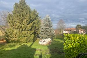 Terreno edificabile - Capriva del Friuli -