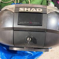 bauletto shad con relativa piastra