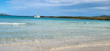 In residence estate 26