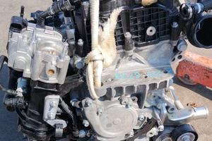 Motore FIAT (1.3 16V Turbo Benzina) 55282328